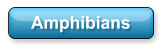 Amphibians