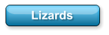 Lizards