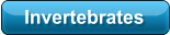 Invertebrates