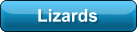 Lizards