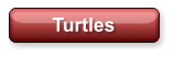 Turtles
