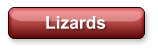 Lizards