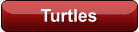 Turtles