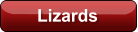 Lizards