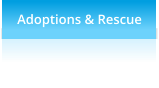 Adoptions & Rescue